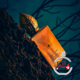 Soleil de Jeddah Stéphane Humbert Lucas 777